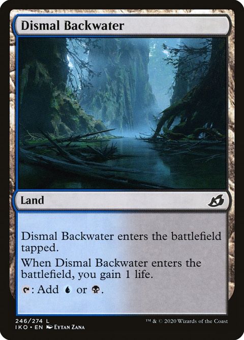 246-dismalbackwater.jpg