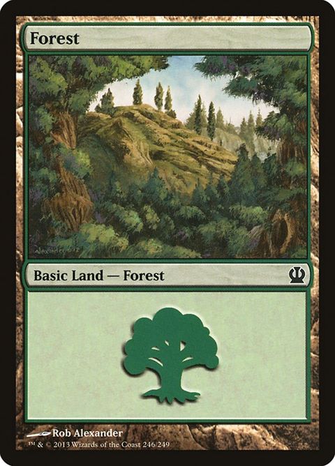 246-forest.jpg