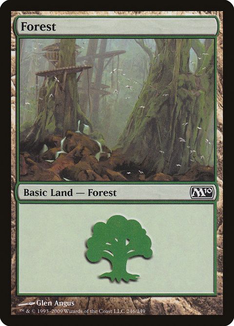 246-forest.jpg