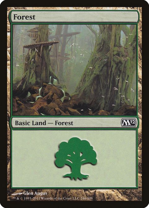 246-forest.jpg