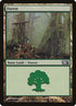 246-forest.jpg
