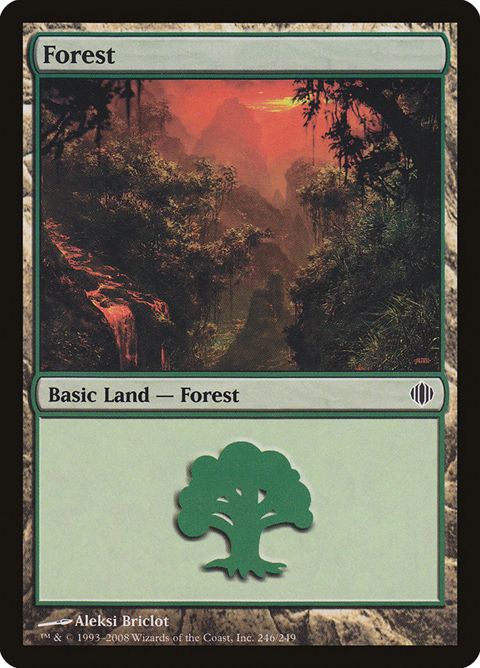 246-forest.jpg