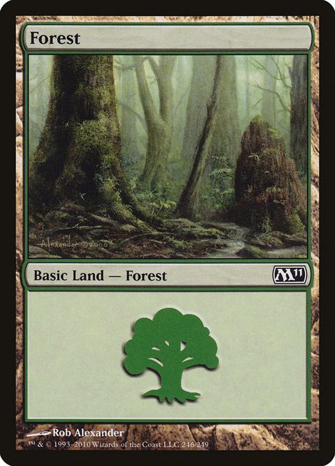 246-forest.jpg