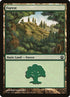246-forest.jpg