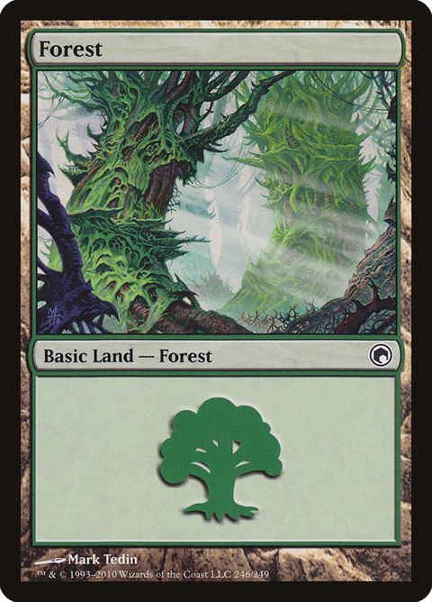 246-forest.jpg