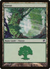 246-forest.jpg