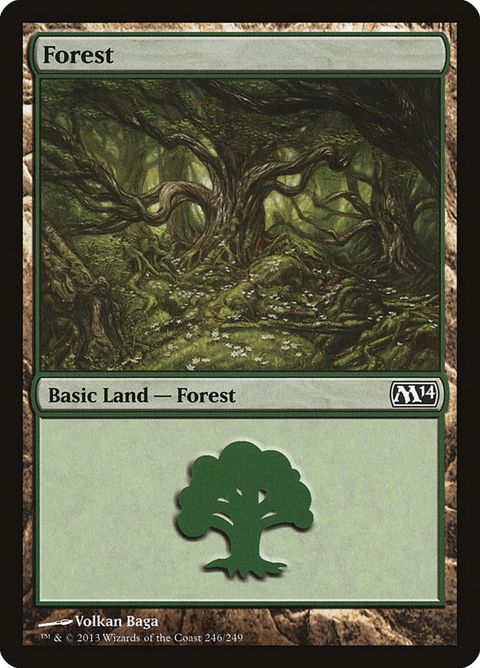 246-forest.jpg