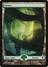 246-forest.jpg