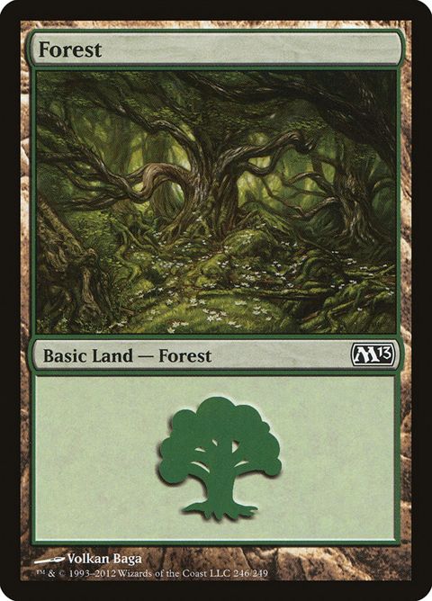 246-forest.jpg