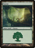 246a-forest.jpg