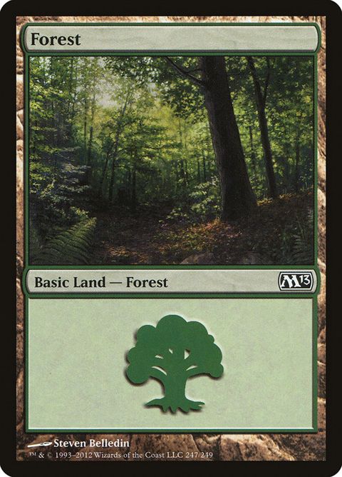 247-forest.jpg