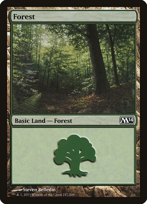 247-forest.jpg