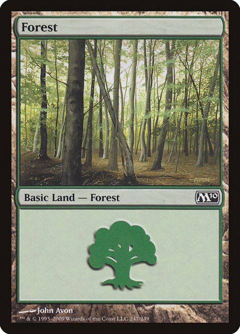 247-forest.jpg