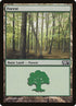 247-forest.jpg