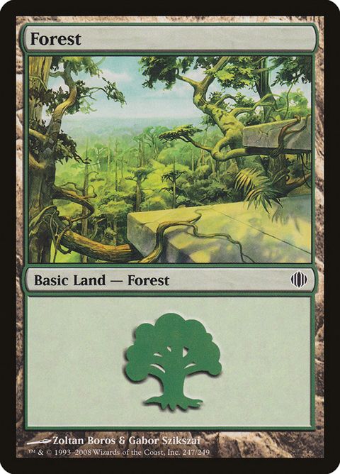 247-forest.jpg
