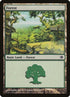 247-forest.jpg