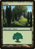 247-forest.jpg