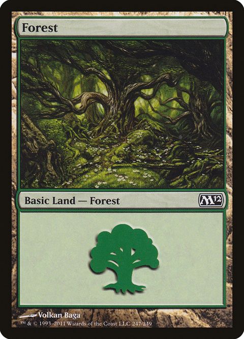 247-forest.jpg