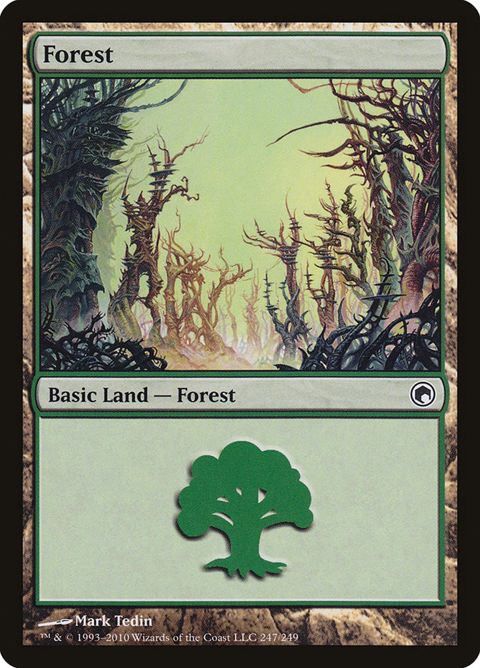 247-forest.jpg