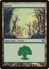 247-forest.jpg
