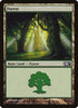247-forest.jpg