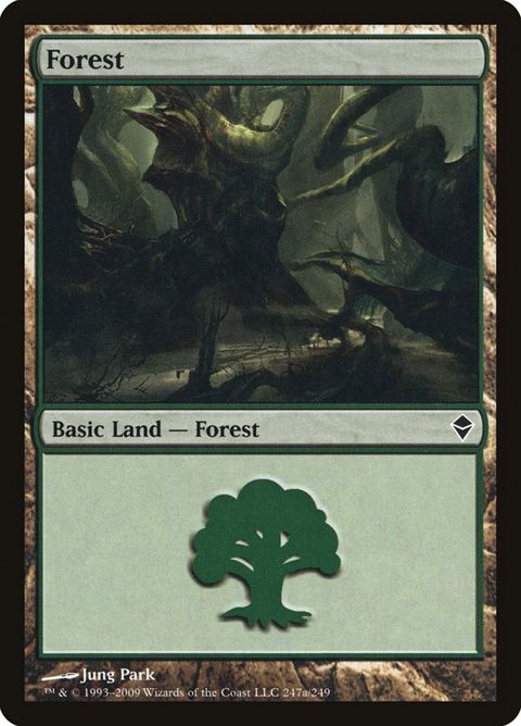 247a-forest.jpg