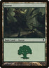 247a-forest.jpg