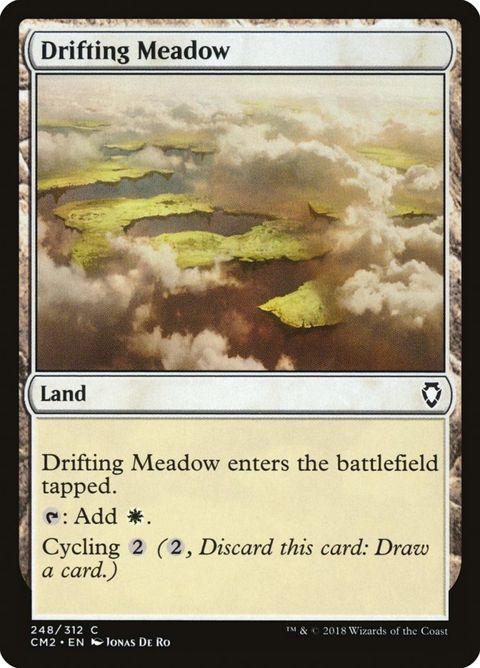 248-driftingmeadow.jpg