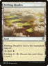 248-driftingmeadow.jpg