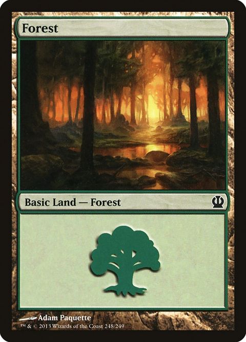 248-forest.jpg