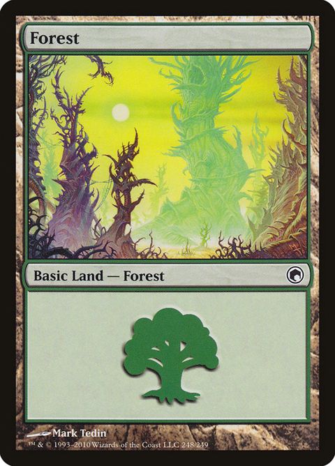 248-forest.jpg