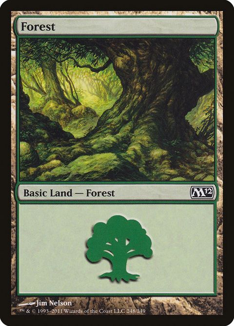 248-forest.jpg