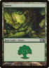 248-forest.jpg