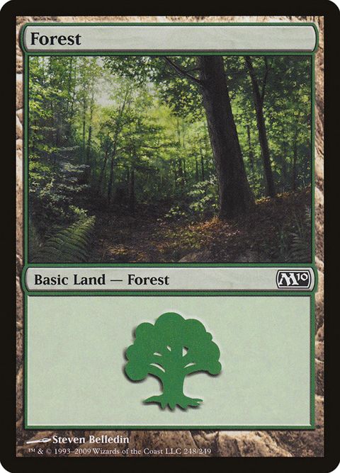 248-forest.jpg