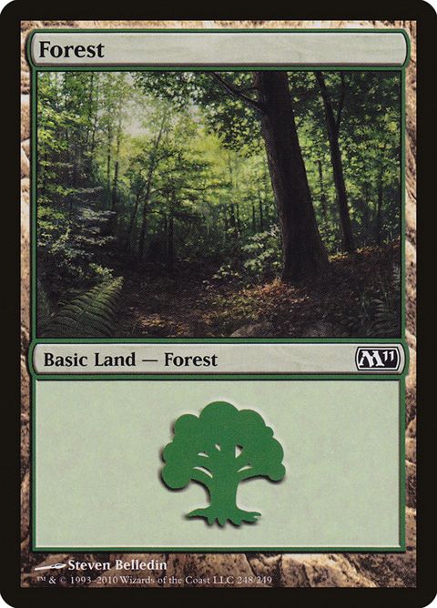 248-forest.jpg