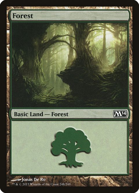 248-forest.jpg