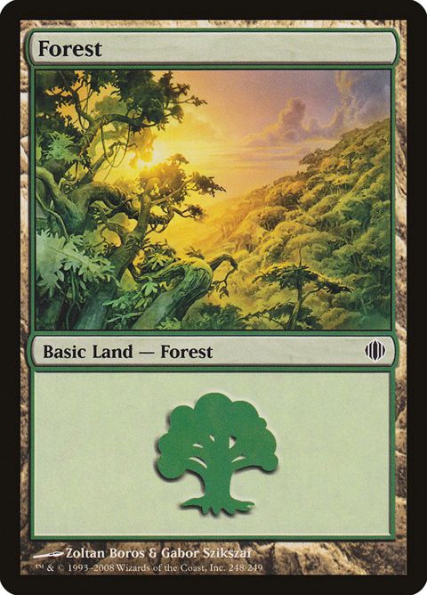 248-forest.jpg