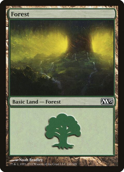 248-forest.jpg