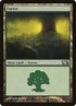 248-forest.jpg