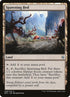 248-spawningbed.jpg