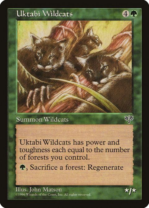 248-uktabiwildcats.jpg