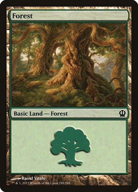 249-forest.jpg
