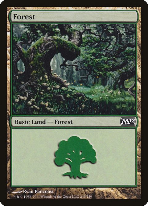 249-forest.jpg