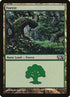 249-forest.jpg