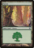 249-forest.jpg