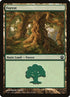 249-forest.jpg