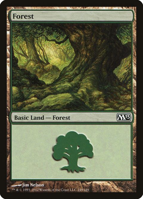 249-forest.jpg