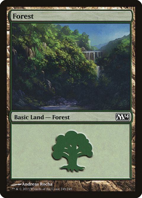 249-forest.jpg
