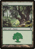 249-forest.jpg