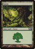 249-forest.jpg